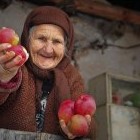 Покупать яблоки во сне: значение и толкование, что предвещает, чего ожидать - «Сонник»