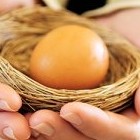 К чему снятся яйца и куры? Значение и толкование, особенности сна - «Сонник»