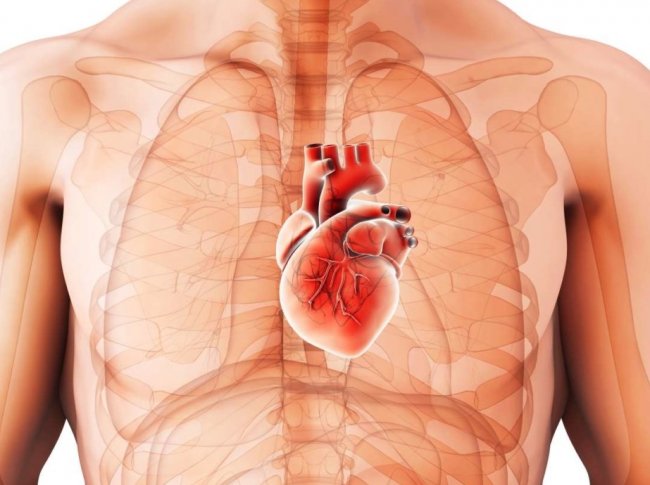 Кардиомегалия (увеличенное сердце): причины, симптомы, диагностика, лечение - «Здоровье»