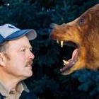 К чему снится медведь женщинам и мужчинам: толкование сонников - «Сонник»