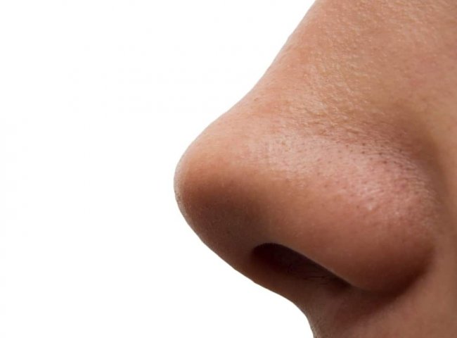 Что значит видеть нос во сне — нюансы расшифровки по сонникам - «Сонник»
