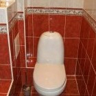 Как почистить туалет на даче своими руками быстро и эффективно - «Сонник»