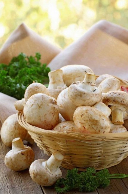 Как хранить свежие шампиньоны: способы и сроки хранения грибов в домашних условиях - «Рецепты»