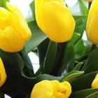 Приснились желтые цветы — предсказание популярных сонников - «Сонник»