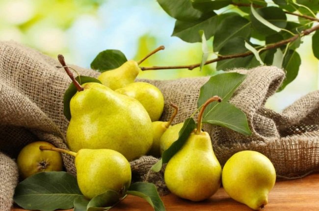 Сколько калорий в груше, пищевая ценность, полезные свойства фрукта - «Здоровье»