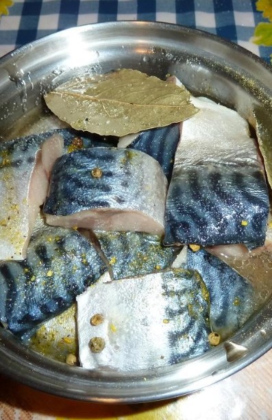 Консервы из скумбрии в домашних условиях – 3 рецепта рыбной закуски - «Рецепты»