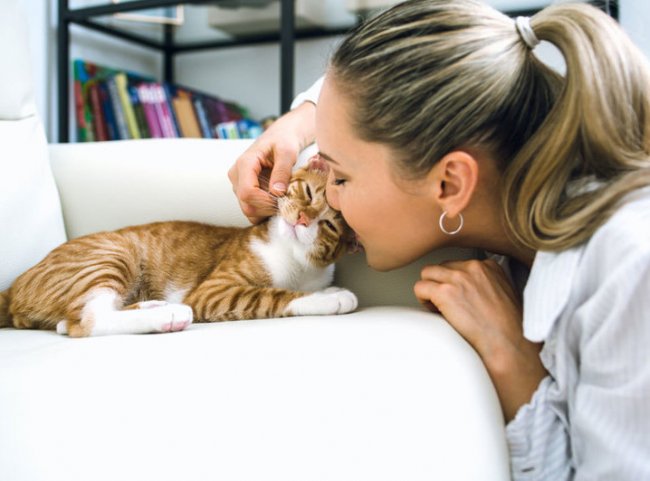 7 фактов о женщинах и кошках - «Стиль жизни»