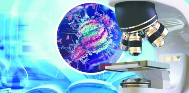 Бактерии, защищающие от ожирения - «Здоровье»