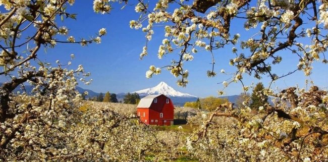 Мудрое наставление - Женский блог.