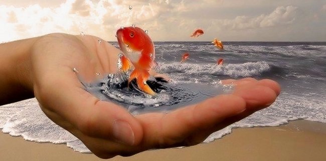 Чего вы на самом деле хотите - Женский блог.