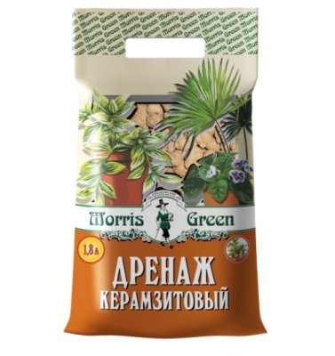 Цветущие растения для офиса: как сделать пространство ярким и стильным